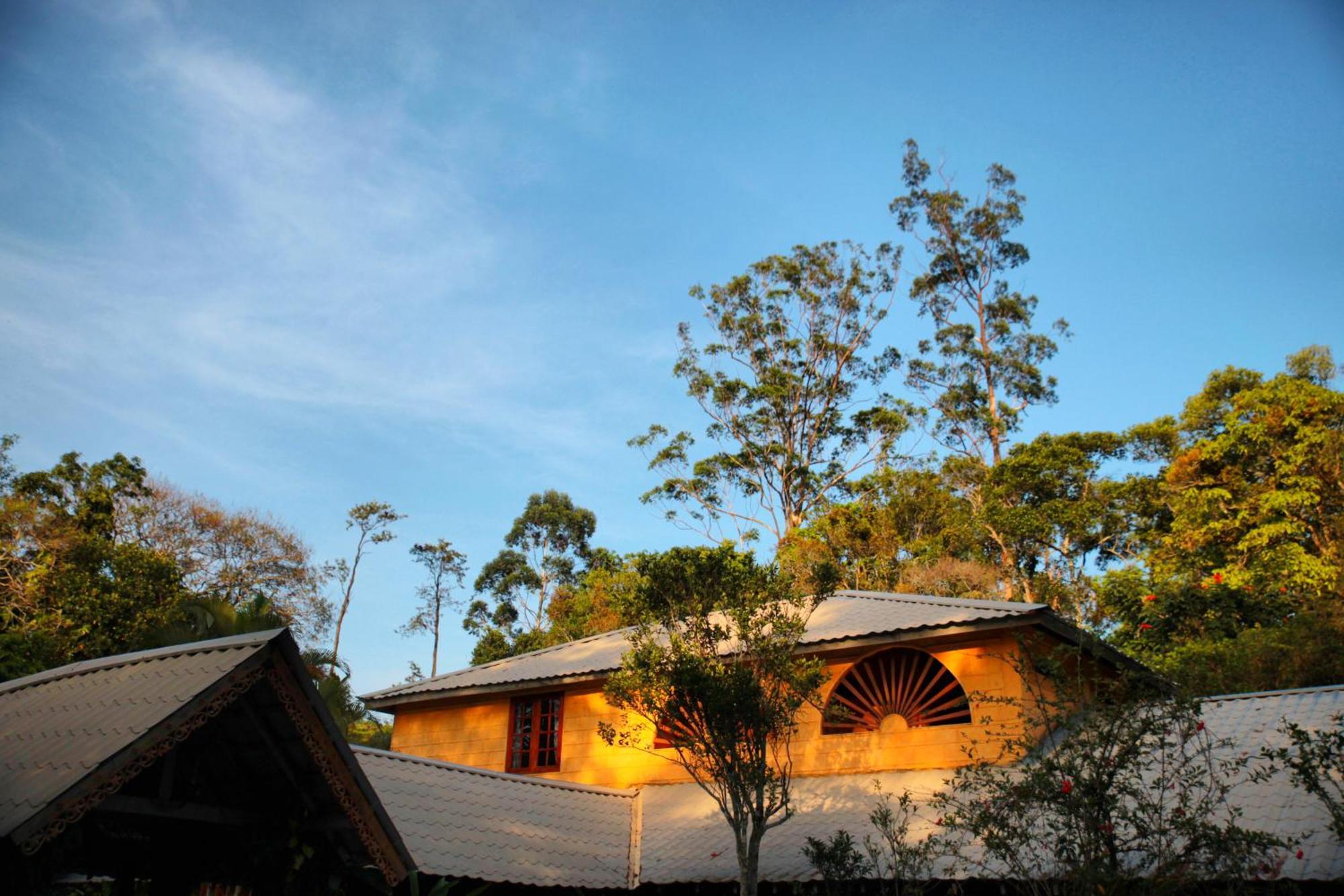 אלה Sunnyside Holiday Bungalow מראה חיצוני תמונה