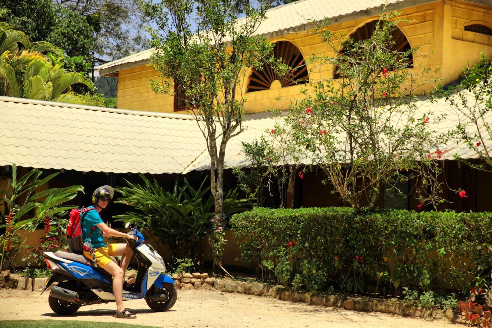 אלה Sunnyside Holiday Bungalow מראה חיצוני תמונה