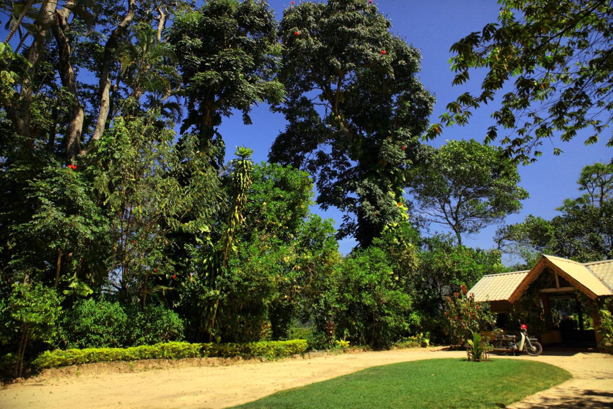 אלה Sunnyside Holiday Bungalow מראה חיצוני תמונה
