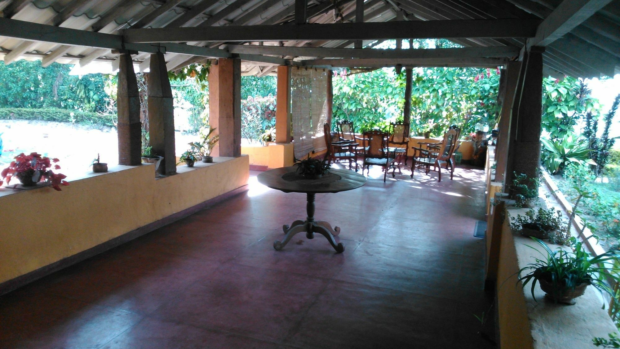 אלה Sunnyside Holiday Bungalow מראה חיצוני תמונה