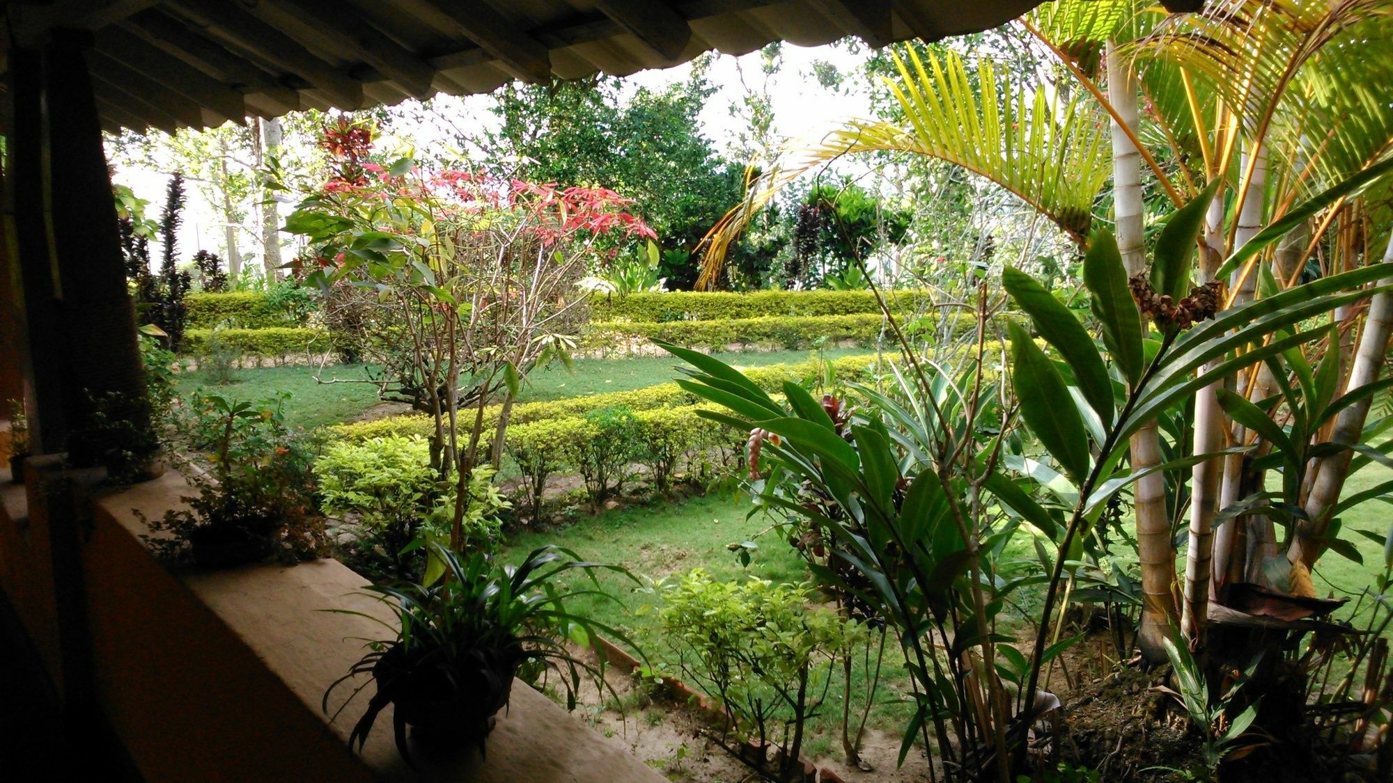 אלה Sunnyside Holiday Bungalow מראה חיצוני תמונה