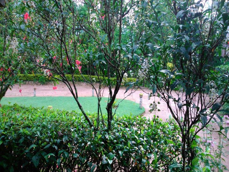 אלה Sunnyside Holiday Bungalow מראה חיצוני תמונה