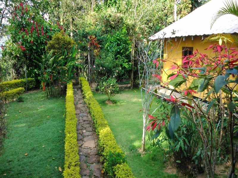אלה Sunnyside Holiday Bungalow מראה חיצוני תמונה