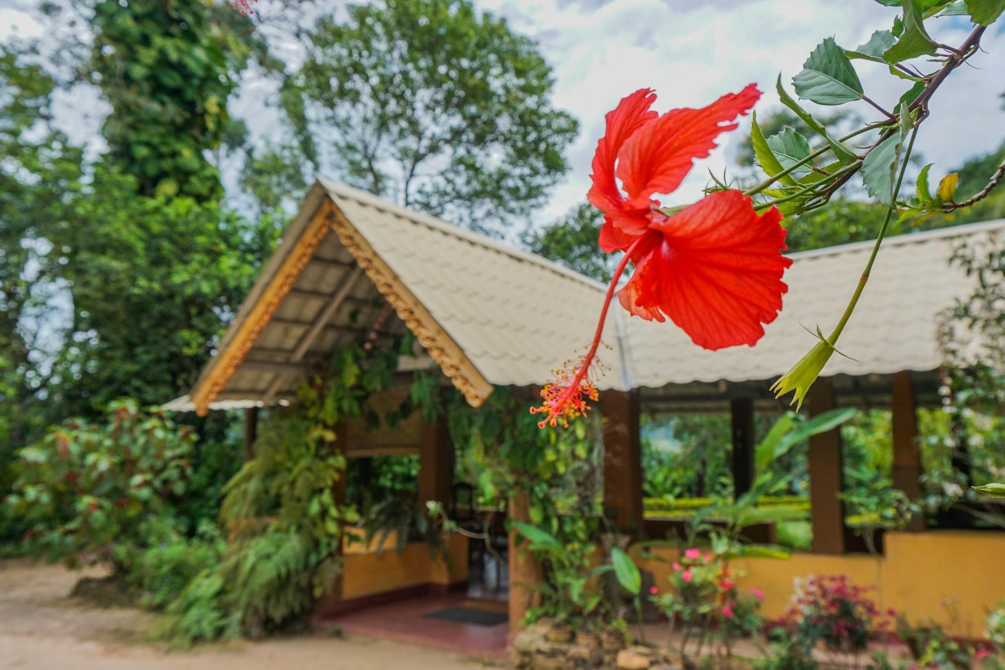 אלה Sunnyside Holiday Bungalow מראה חיצוני תמונה