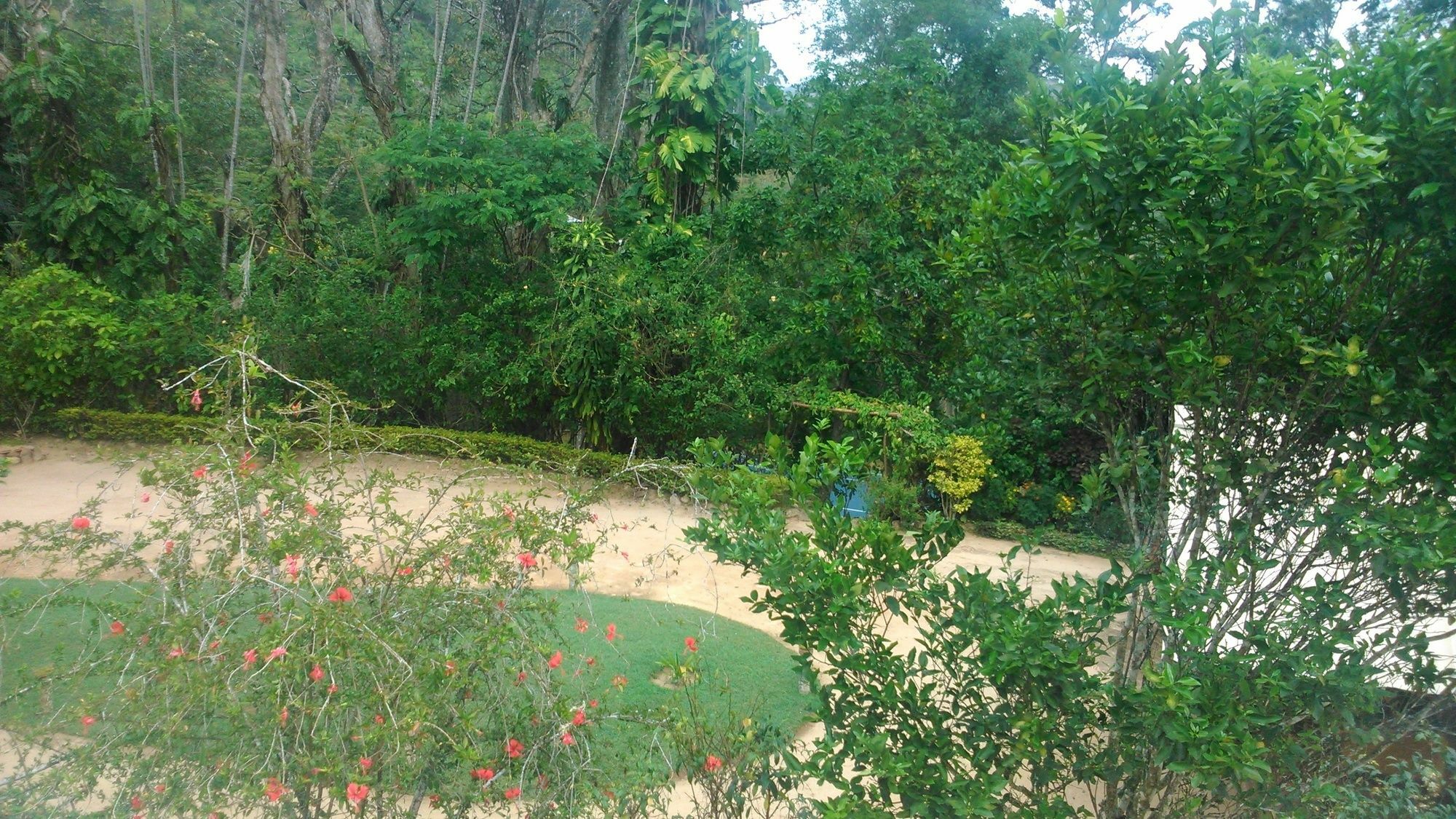 אלה Sunnyside Holiday Bungalow מראה חיצוני תמונה