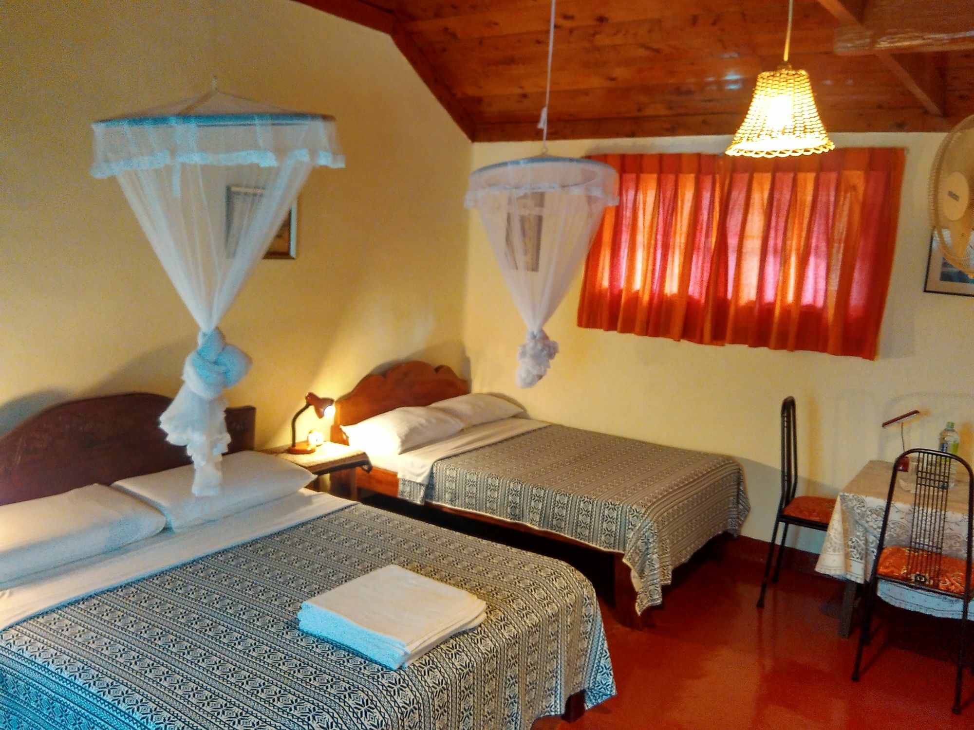 אלה Sunnyside Holiday Bungalow מראה חיצוני תמונה