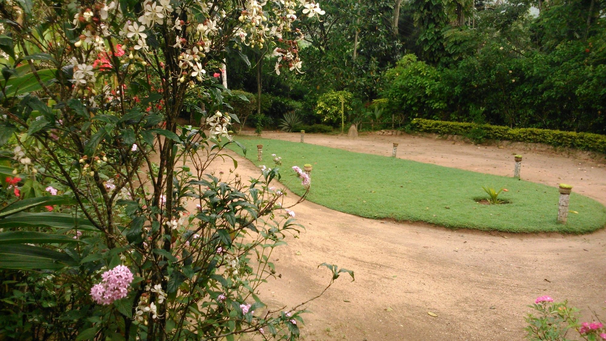אלה Sunnyside Holiday Bungalow מראה חיצוני תמונה